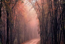 王媛媛回应质疑,承认存在差距,有望进军新领域.