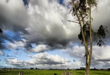 raybet官网:低迷曼市做客尤文图斯 阿申纳望巩固欧冠出线席位.