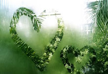 西塞:曾婉拒皇马因已承诺红军;自豪从两度重伤中恢复.