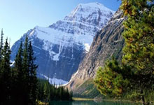 raybet官网:麦卡利斯特:梅西是世界最佳,他不在的时候我们必须更强大.