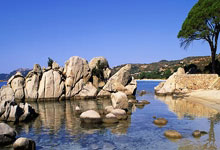 库巴西：巴萨能争冠&现在是真正发力的时候，发挥好能进欧冠决赛.